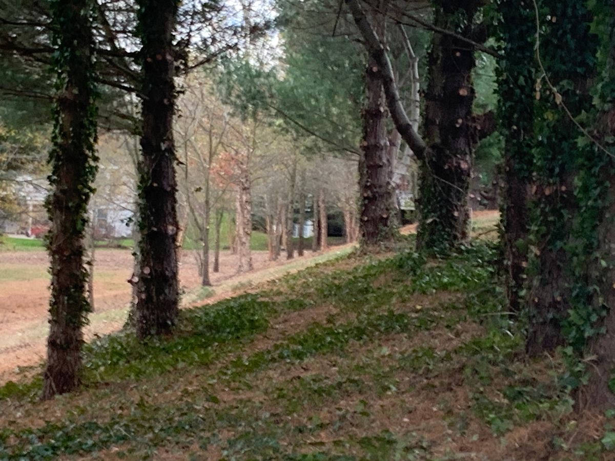 Hole 8