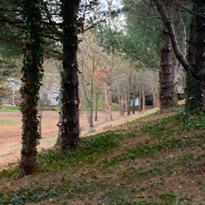 Hole 8