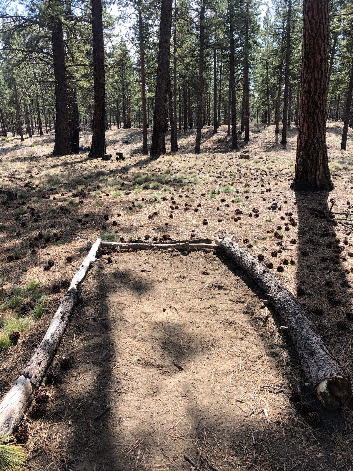 Long tee pad on hole 1