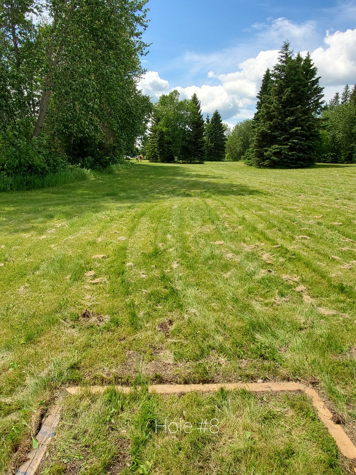 Hole #8