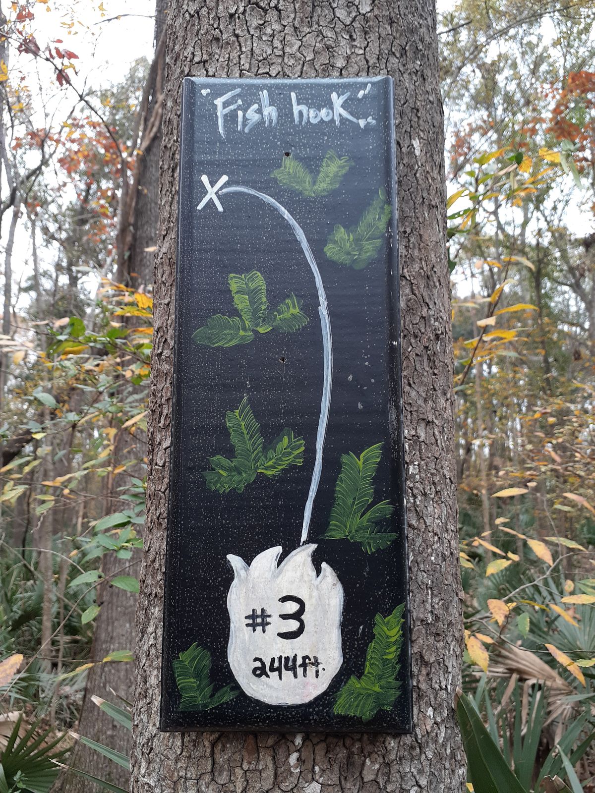 Hole #3, Fish Hook