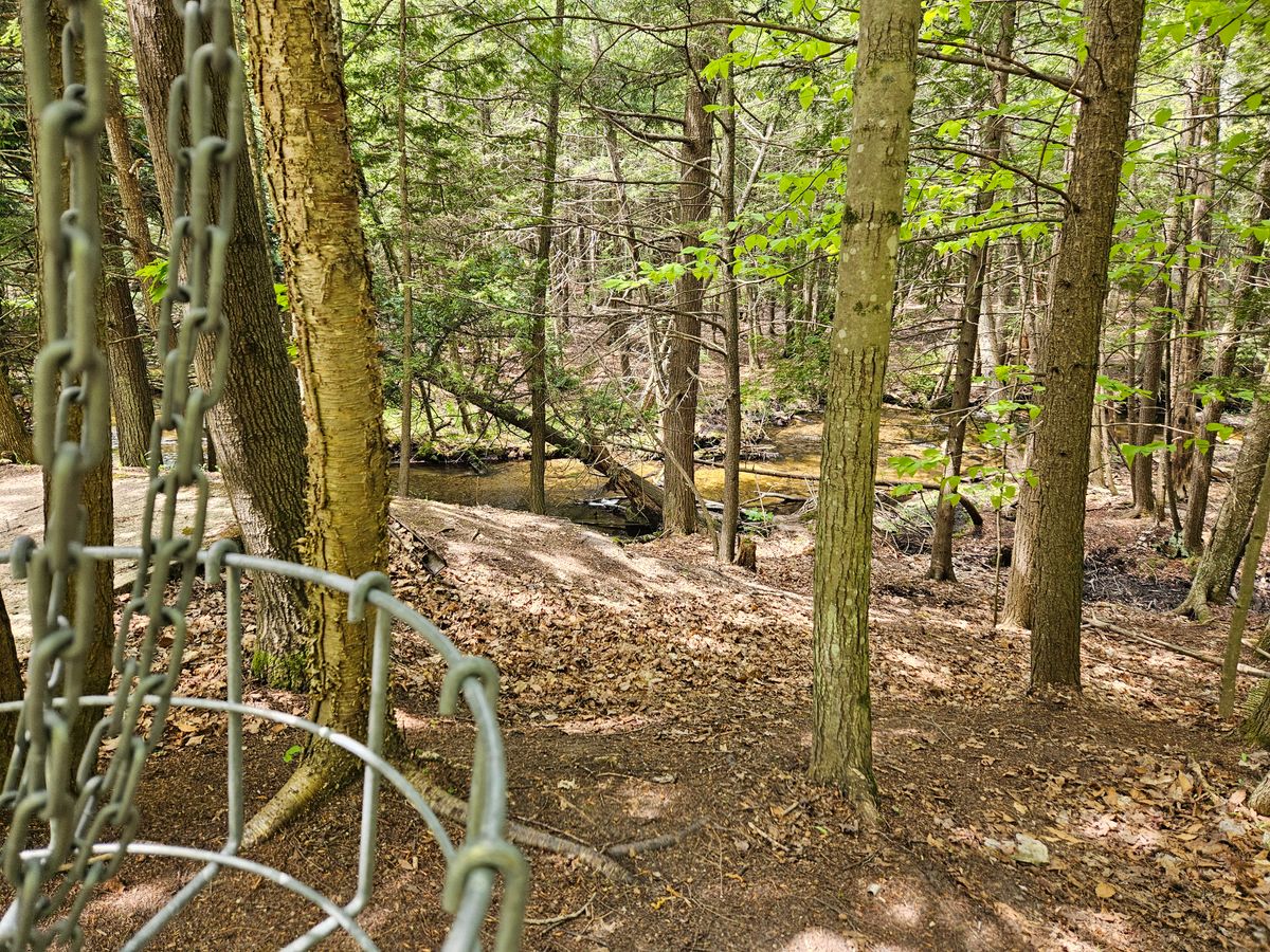 Wooded back 9 by the river in the woods