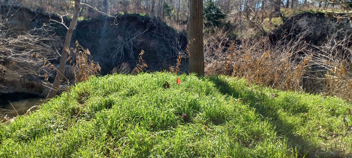 Hole 5