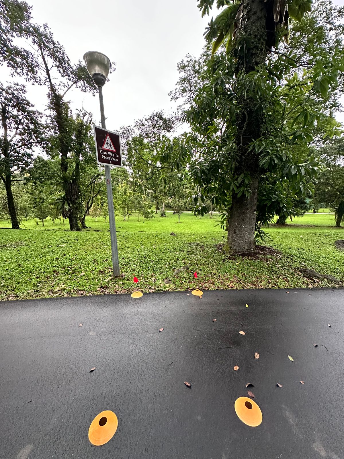 Hole 15 Teepad