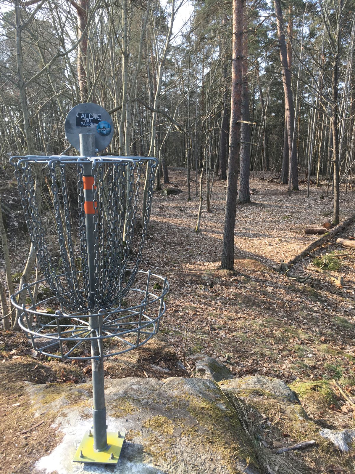 Hole #7