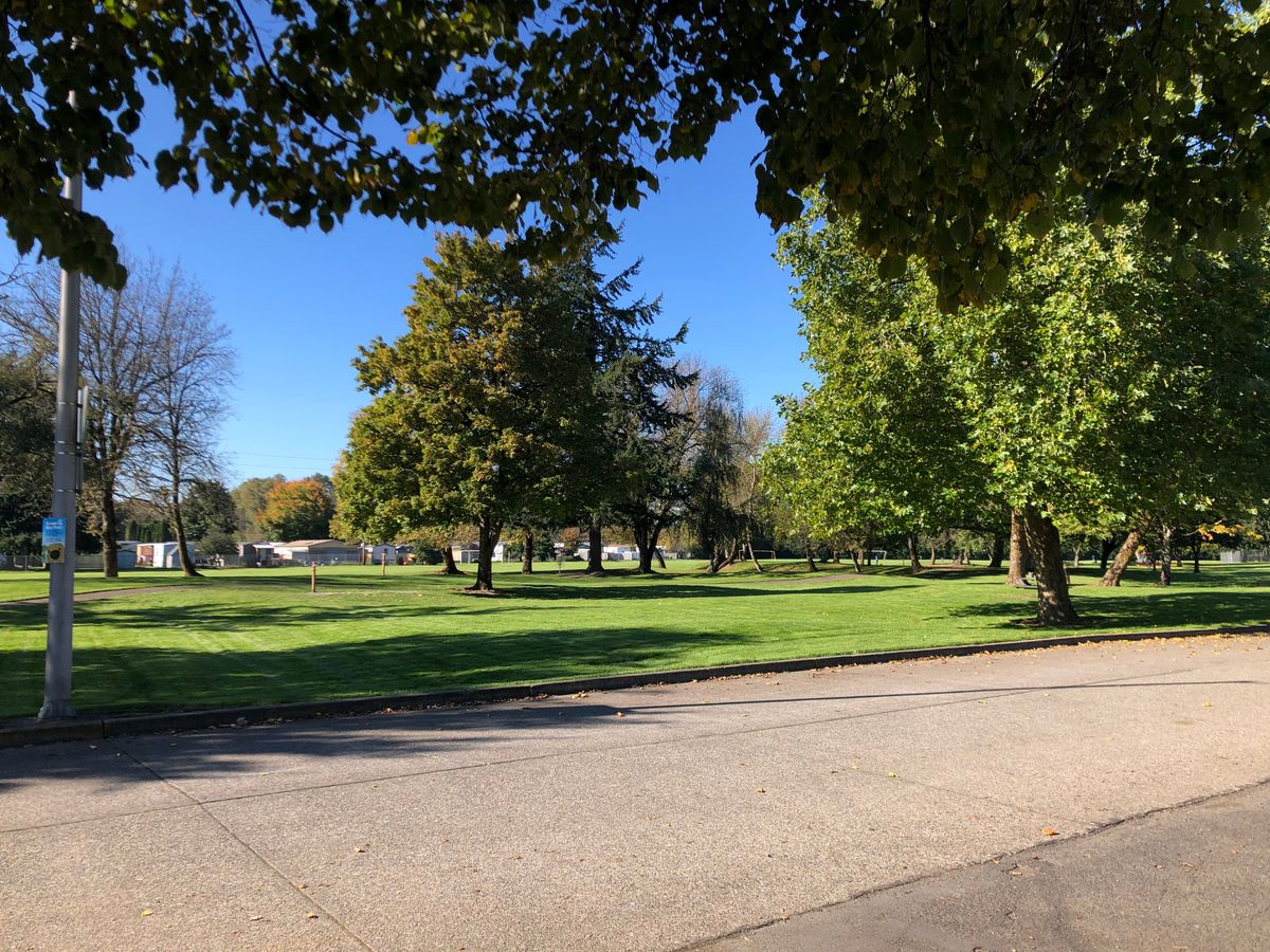 Nice clear day, view of the area around the first tee