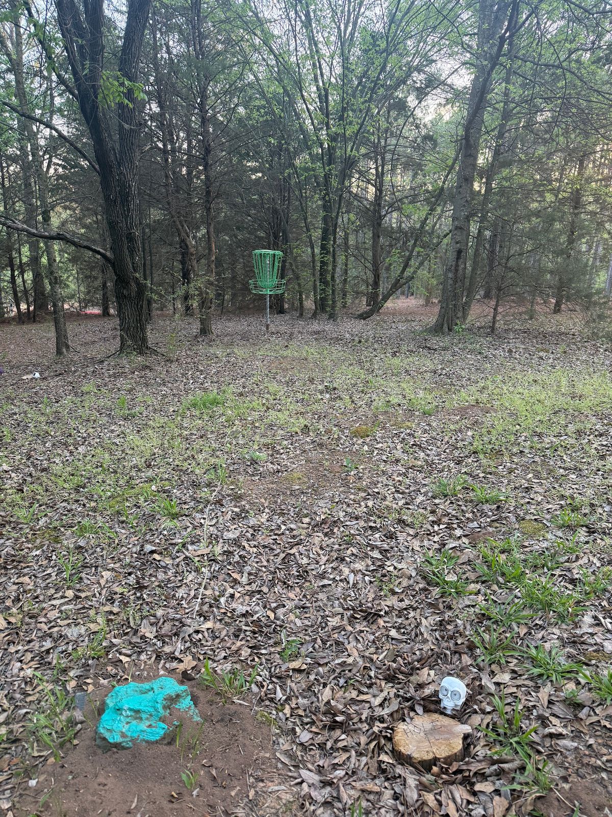 Hole 1 - Blue