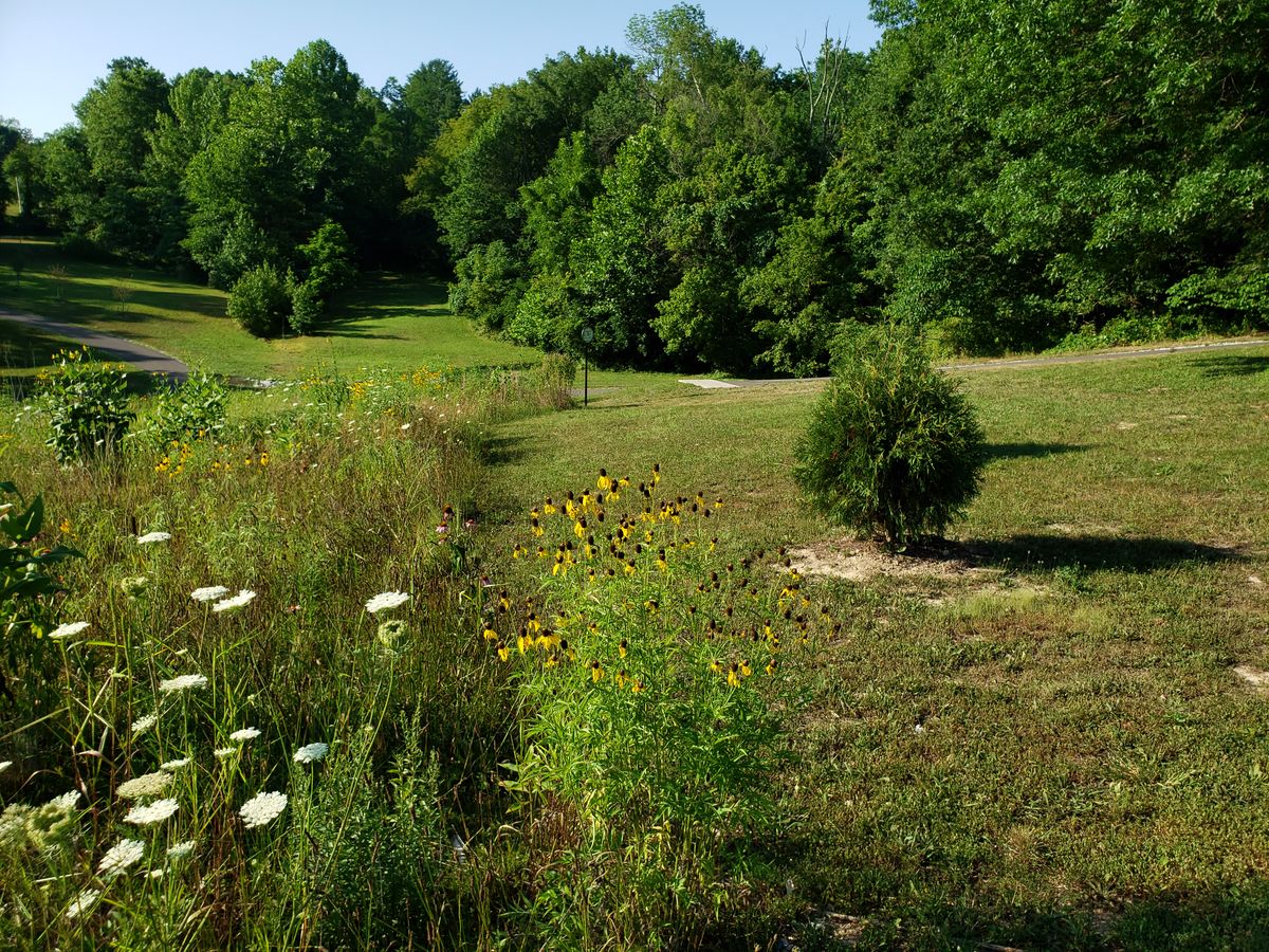 View of #3 Short Tee Box.