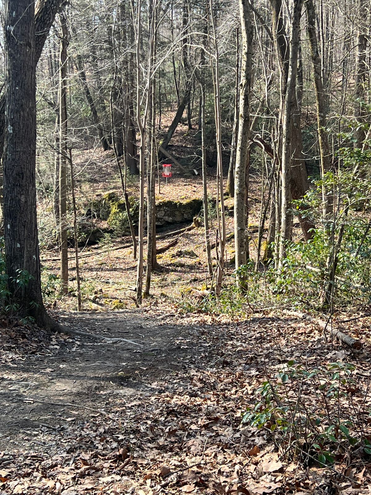 Hole 15