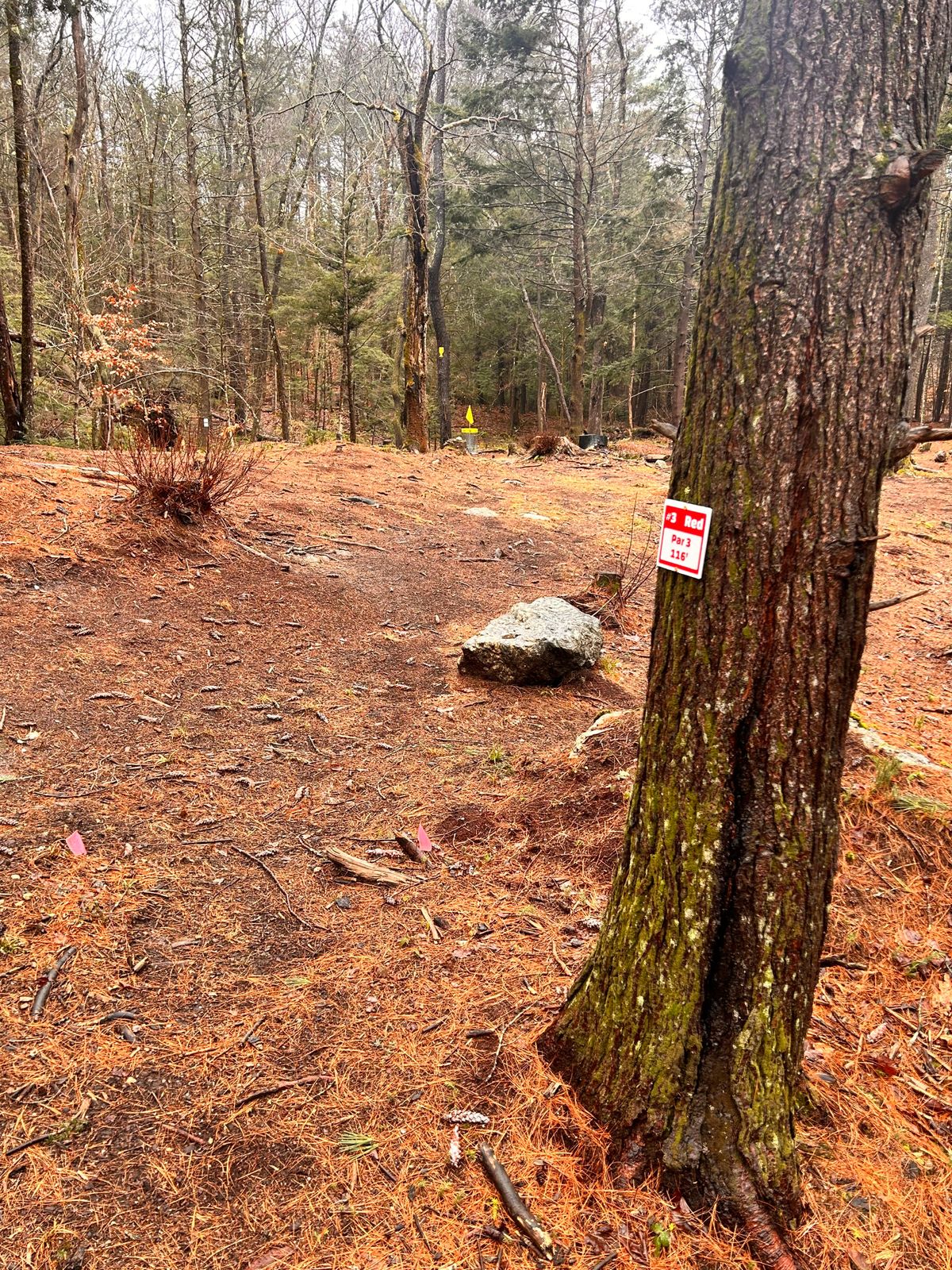 Hole 3 - Red Tee’s New Signs