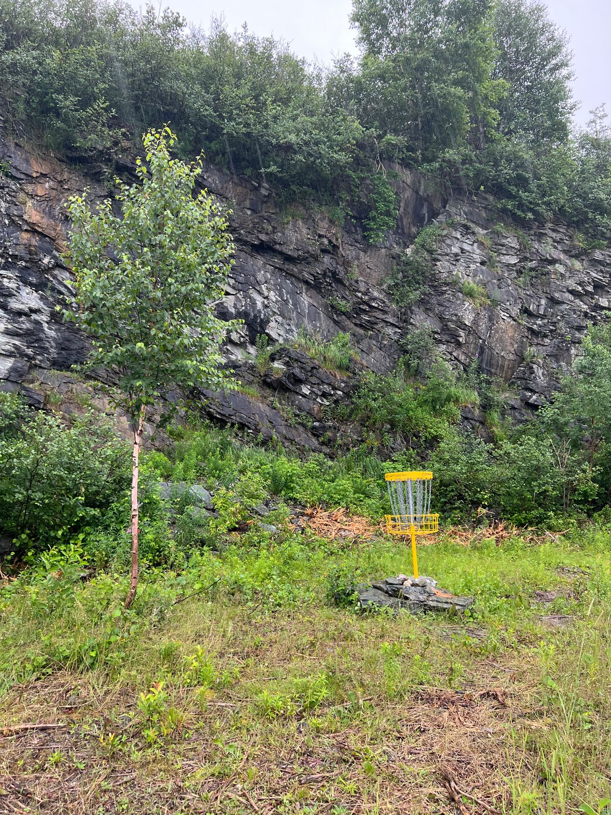 Hole 10C Basket