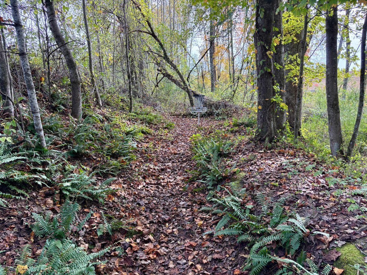 Hole 7 approach