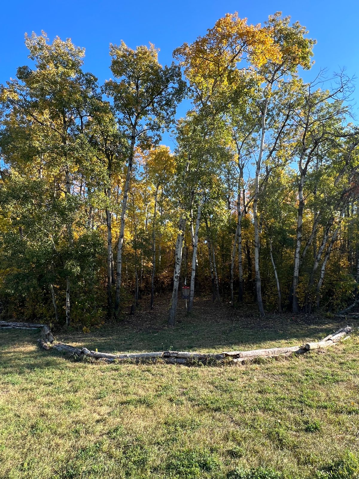 Hole 4 Green