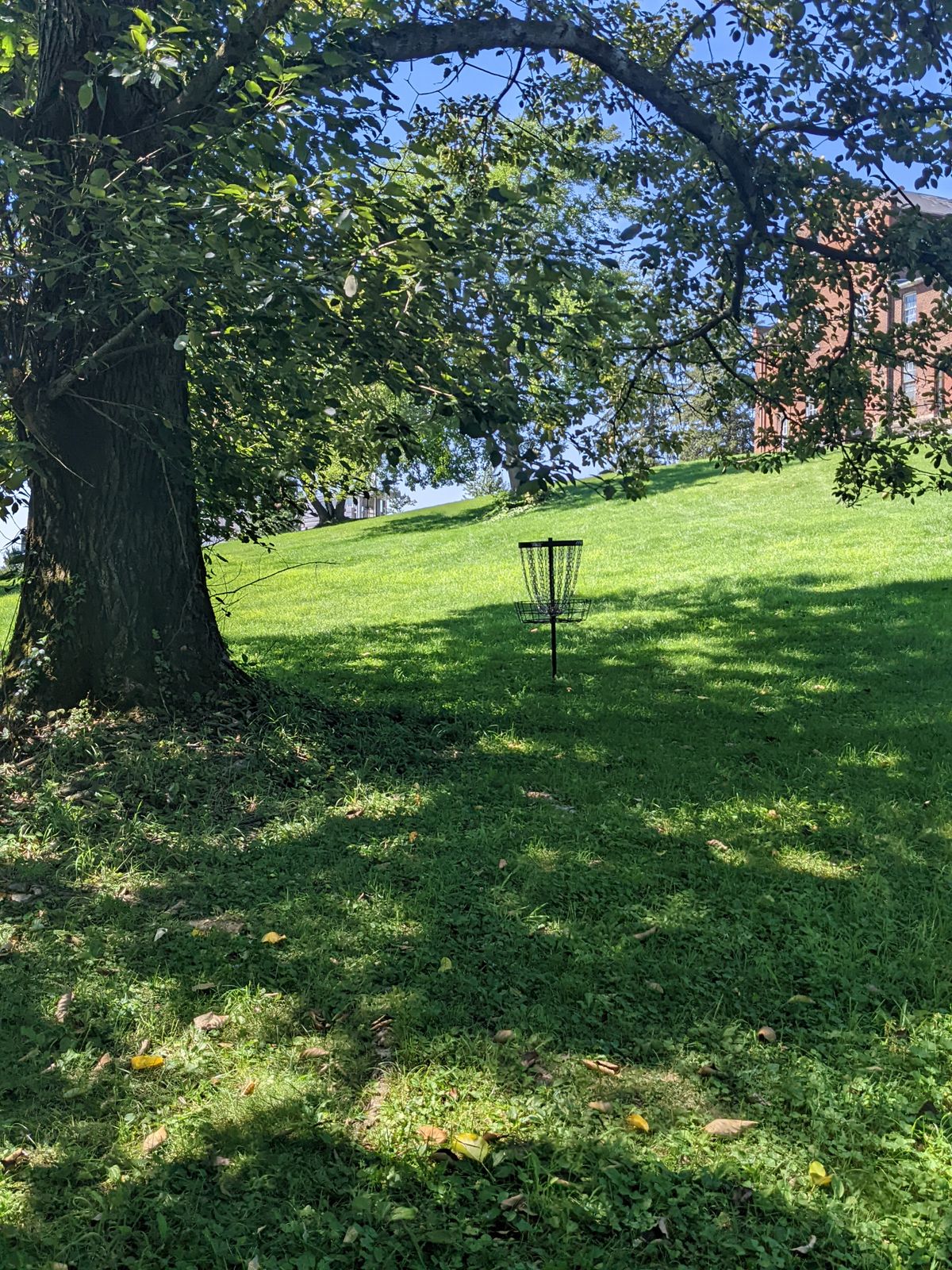 Saint Vincent disk golf cage, black hole.