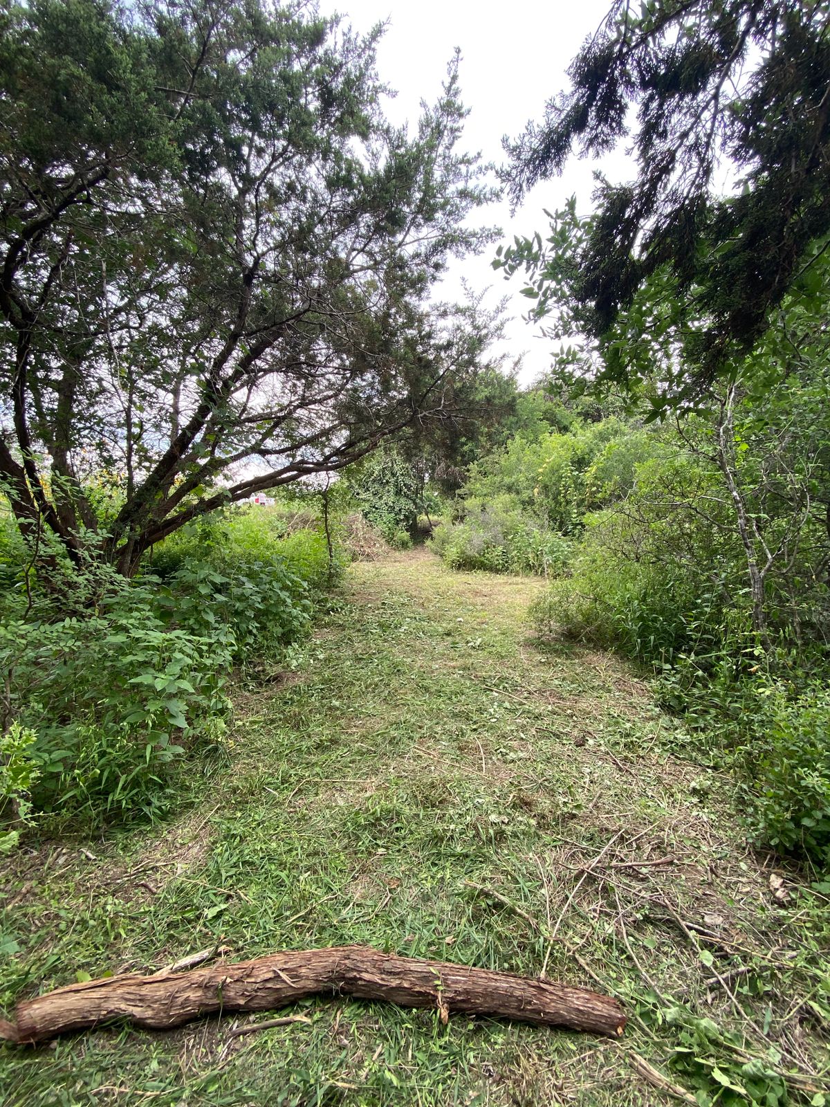 Hole 10 tee