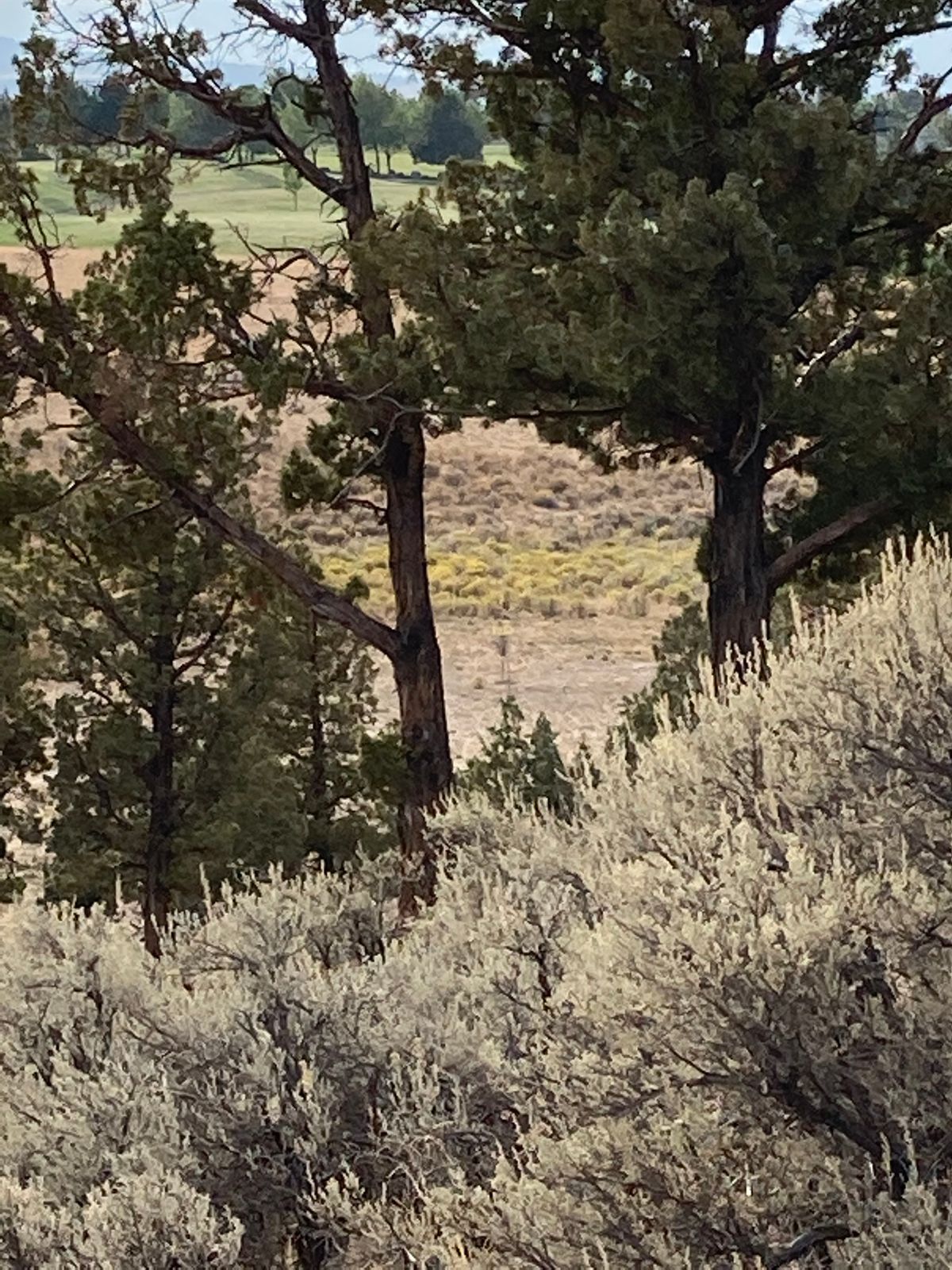 Hole 7