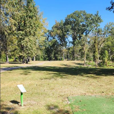 Hole 5
📸: Counterspin Discs