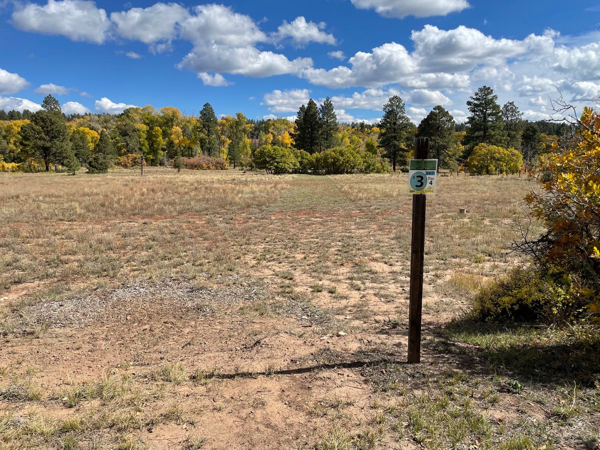 Hole 3 Silver Pick Disc Golf Course