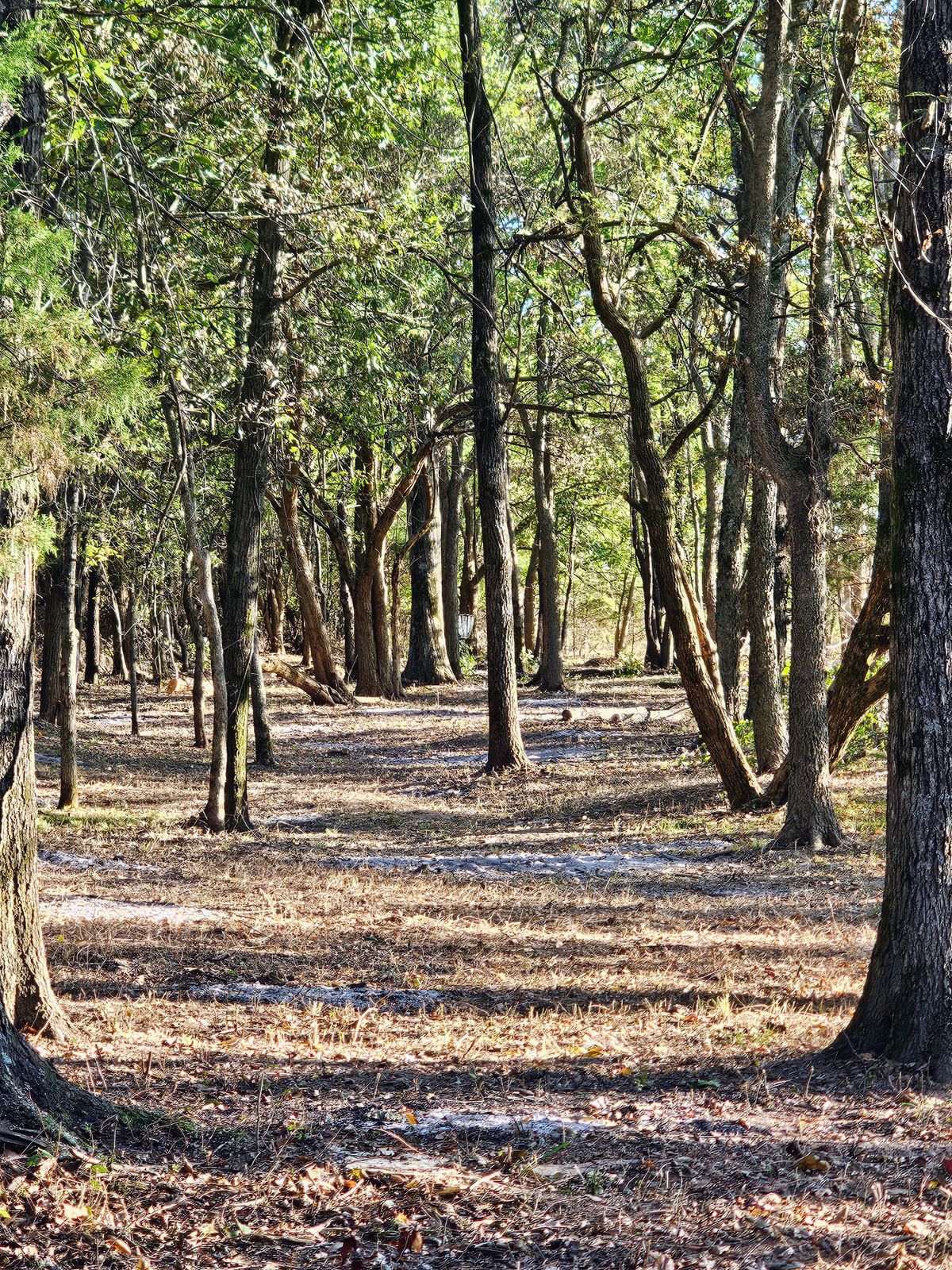 Hole 11