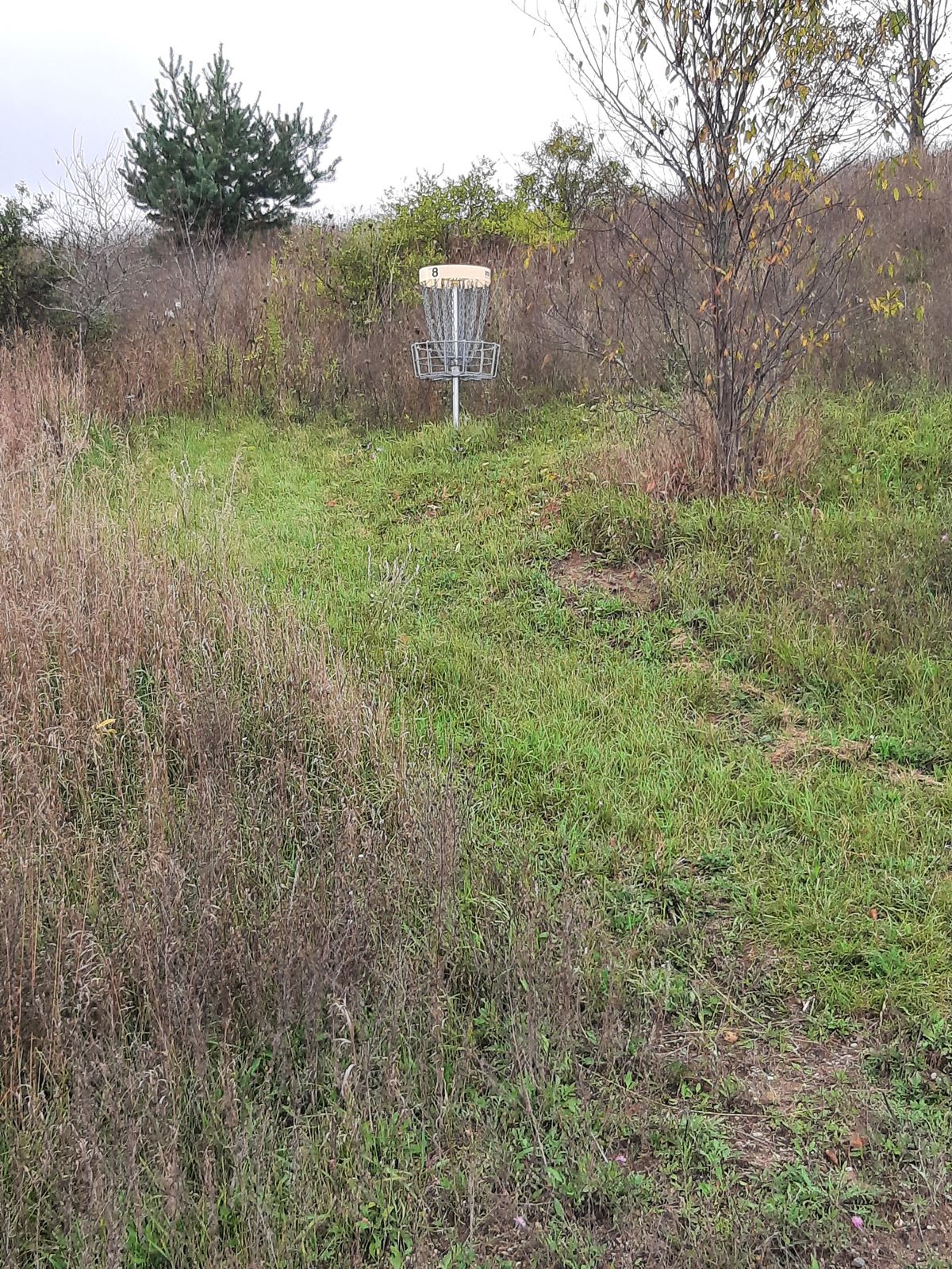 Hole 8, fairway is a dirt drive way