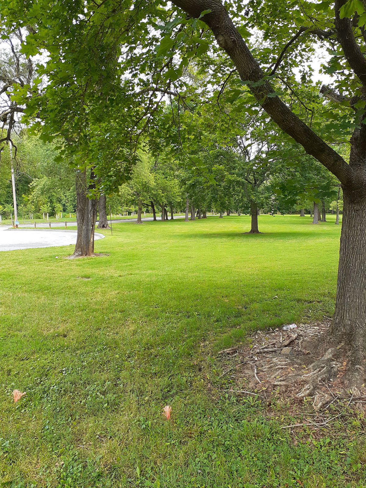 Hole 1 pro tee