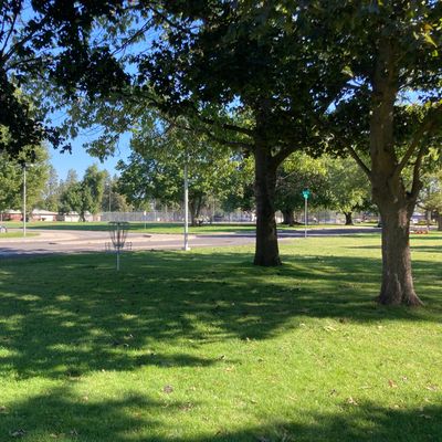Hole two's green, trees on left and right are mandos