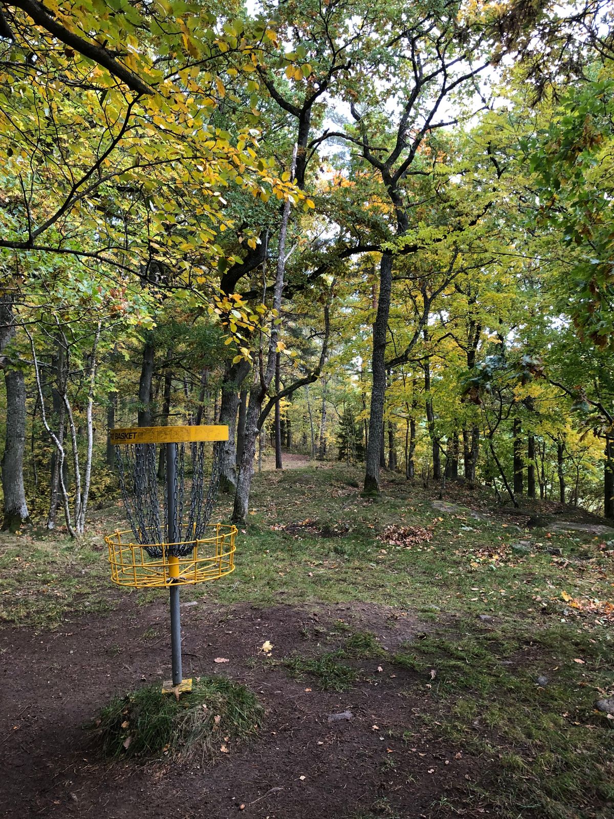 9 green