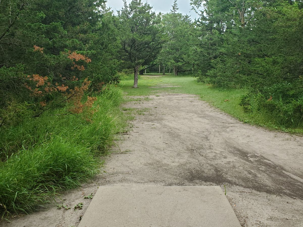 Hole 18. The basket is just short of the road wrapping around the right side.
