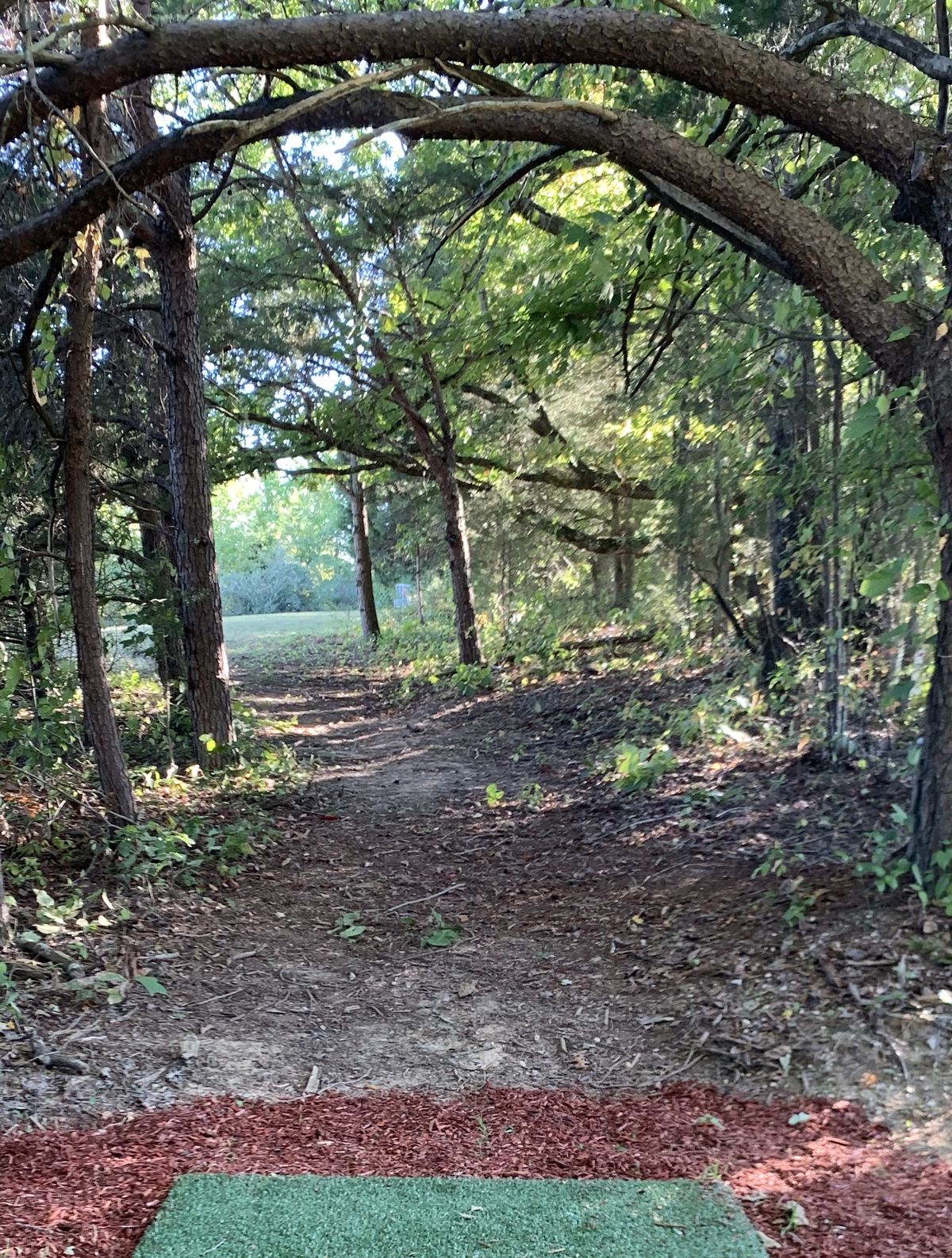 Hole #10, the basket can be seen by zooming in.
