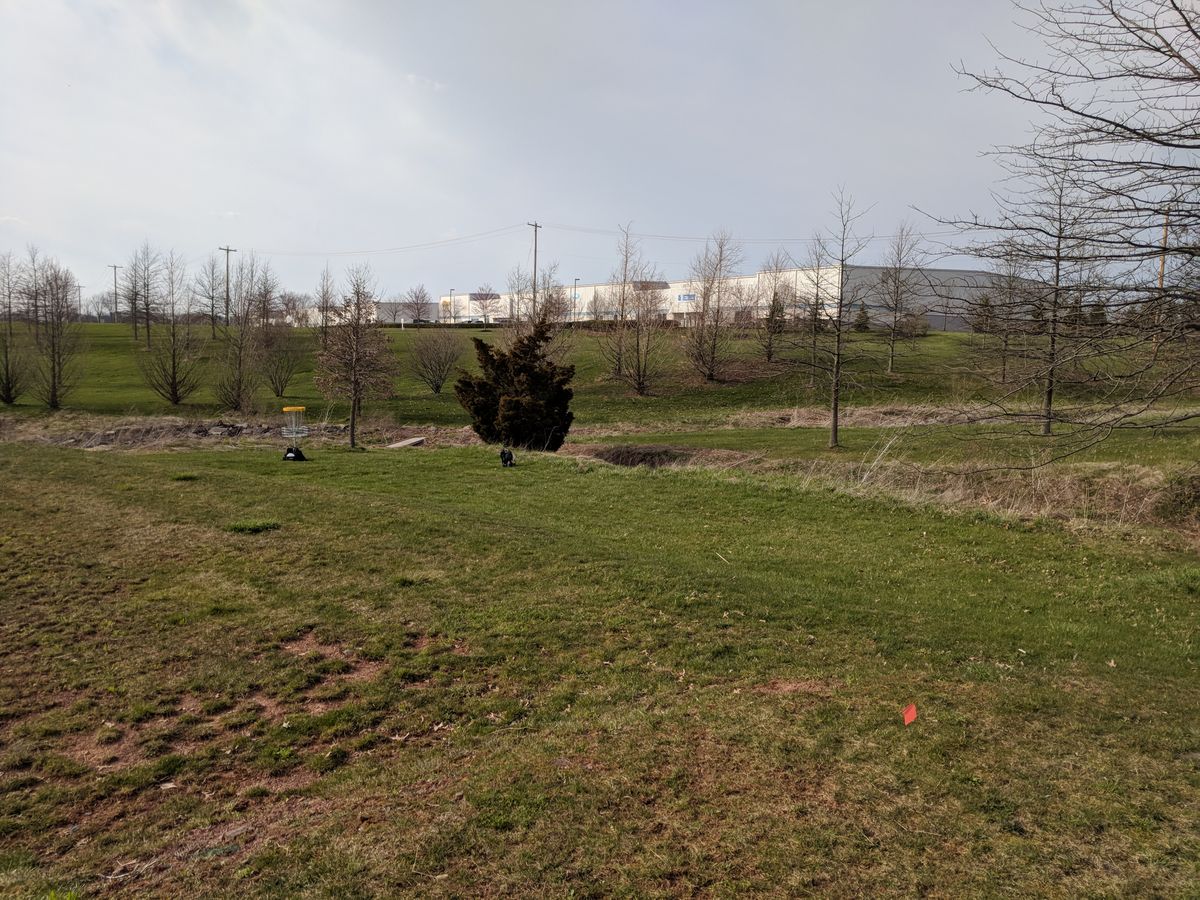 Hole #3 fairway (goes alongside hole #2 basket)