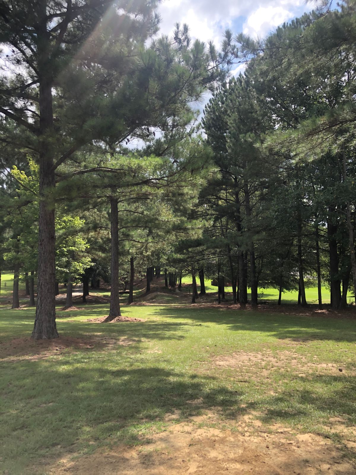 Hole 5