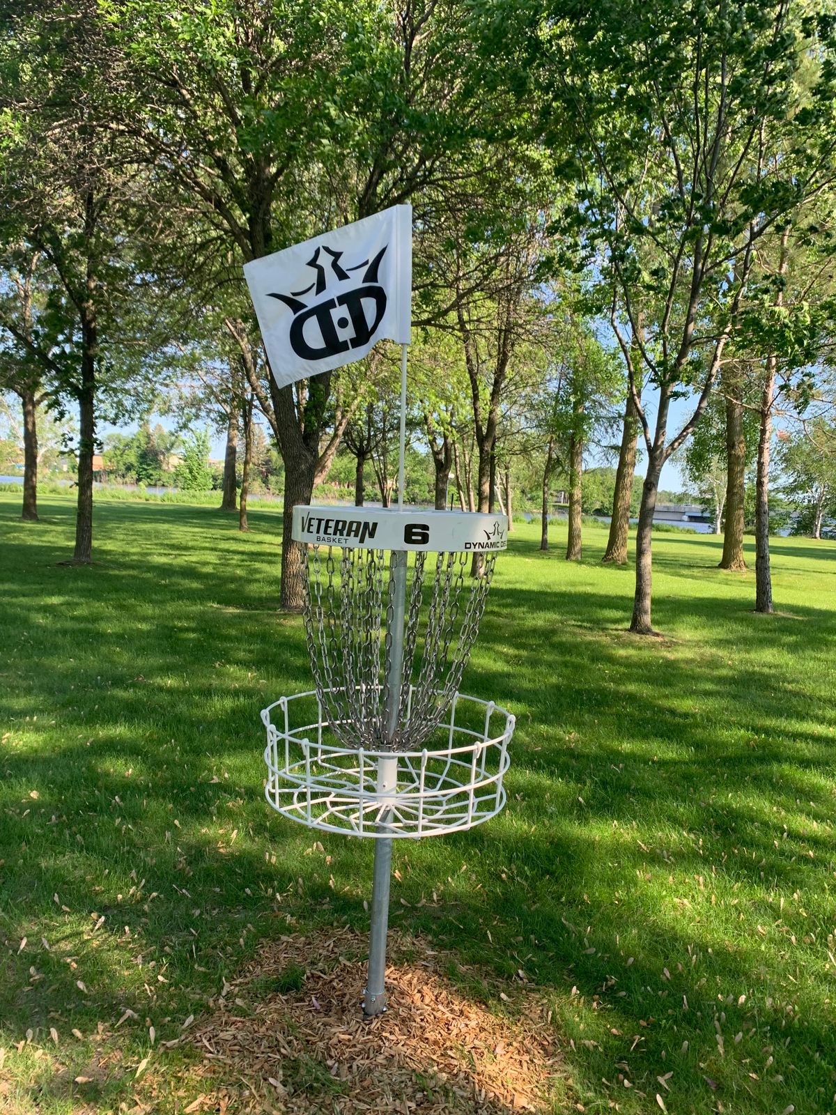 View of hole 6 basket. Very nice, brand new baskets.