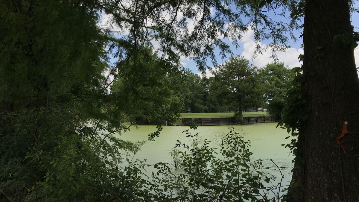 Hole 14