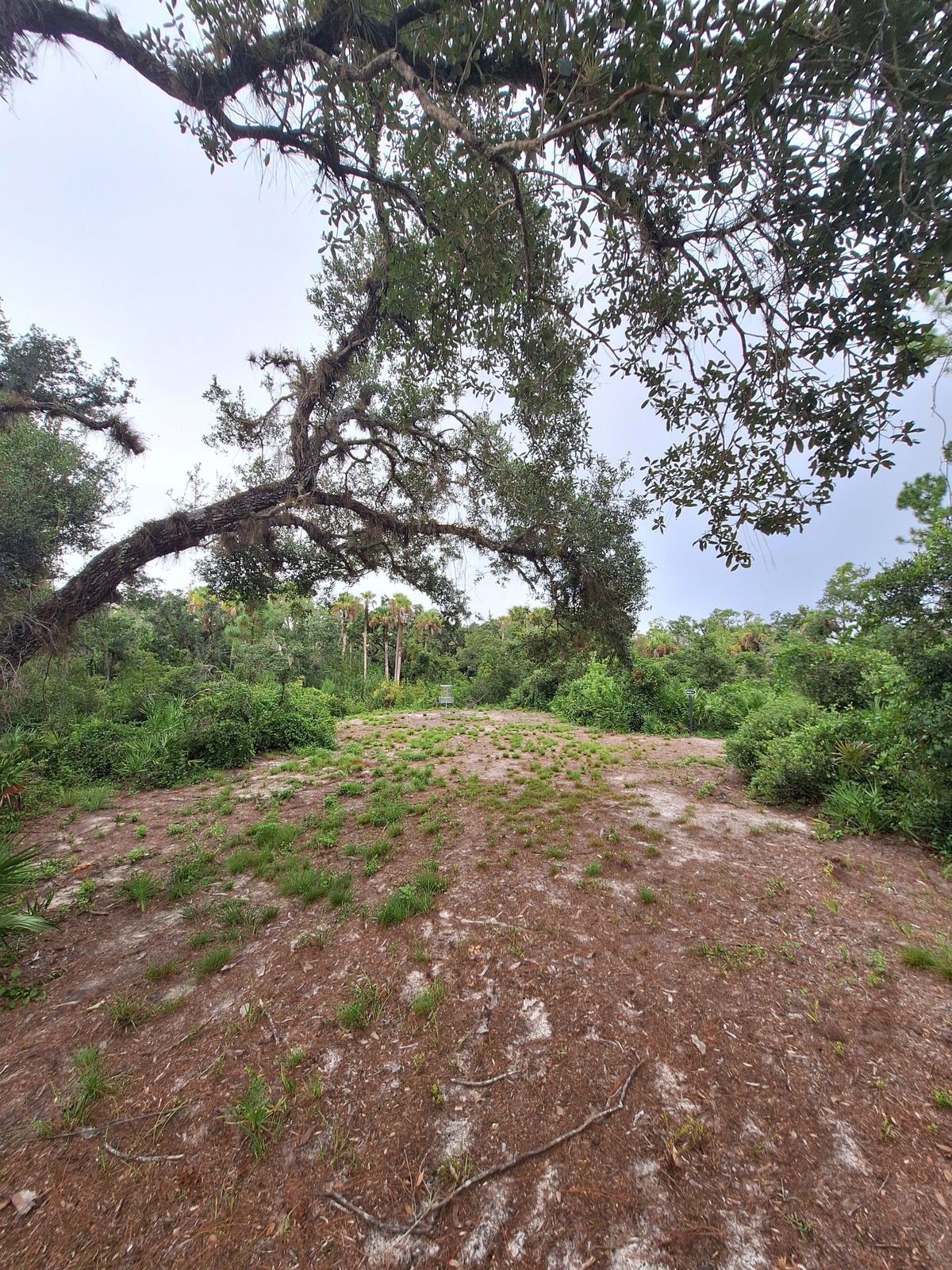 Hole 5 pin location