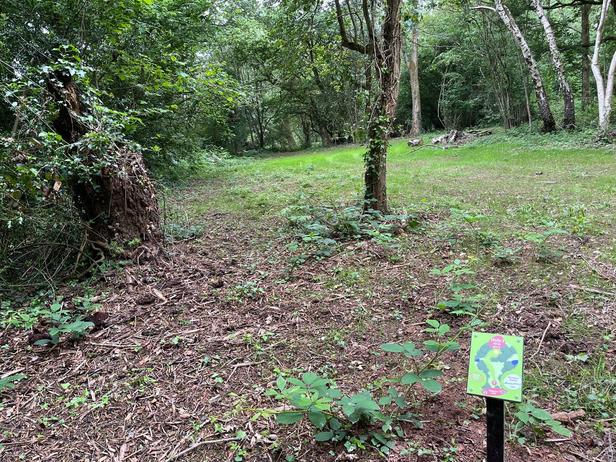 Hole 15 red tee