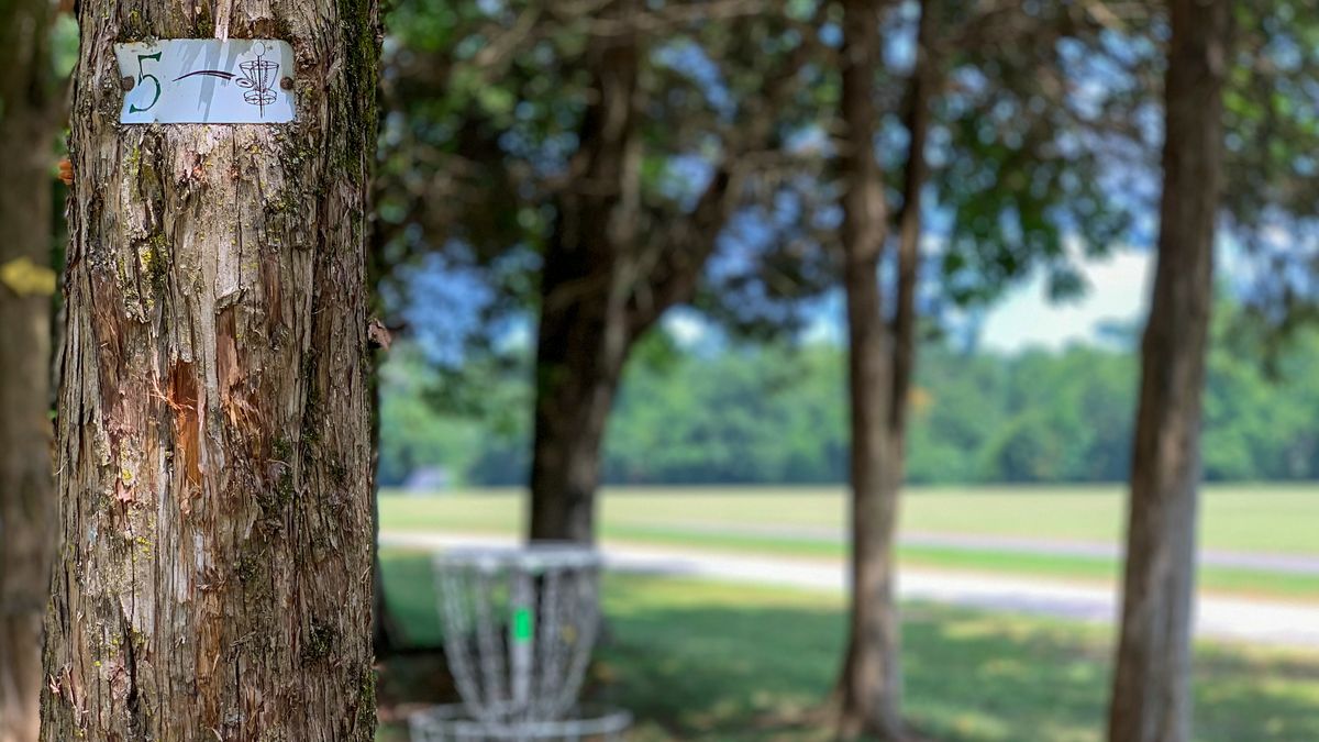 Hole 5