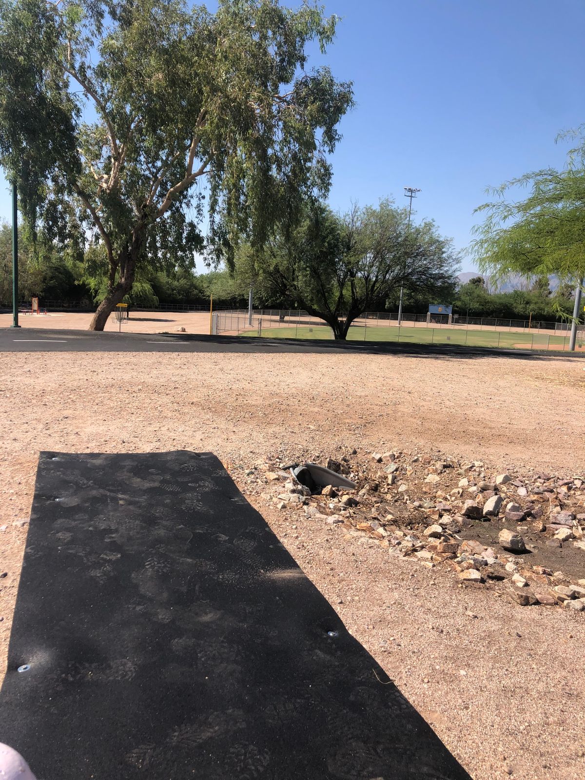 Hole 4: Throwing north to basket down the hill by softball field under the big tree.