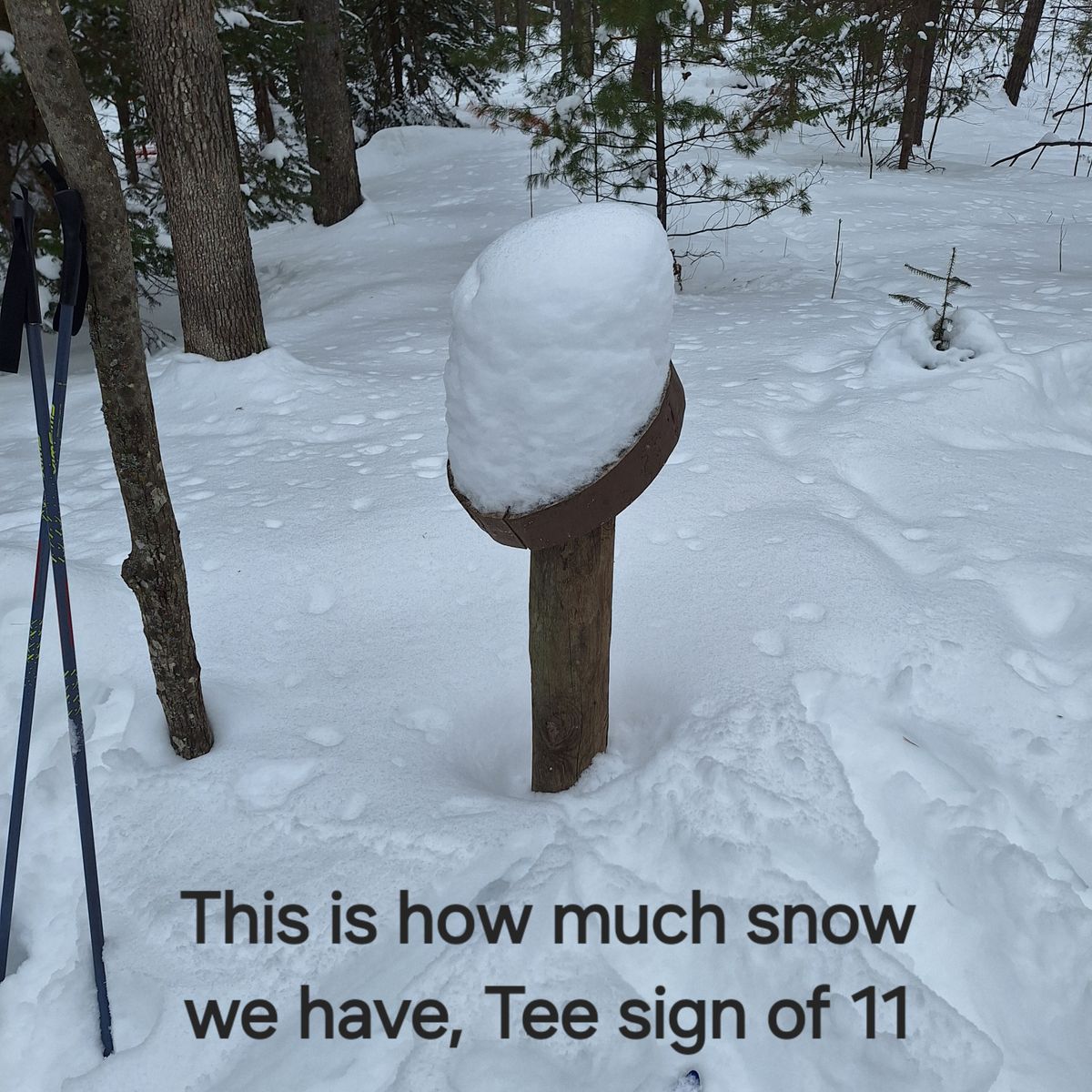 Please let Spring come soon!