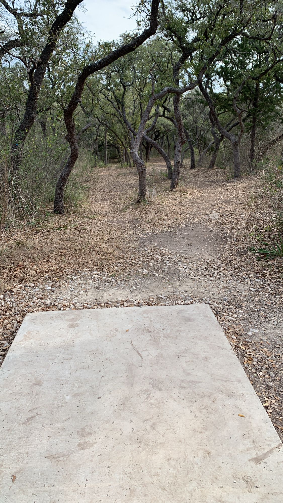 Hole 3