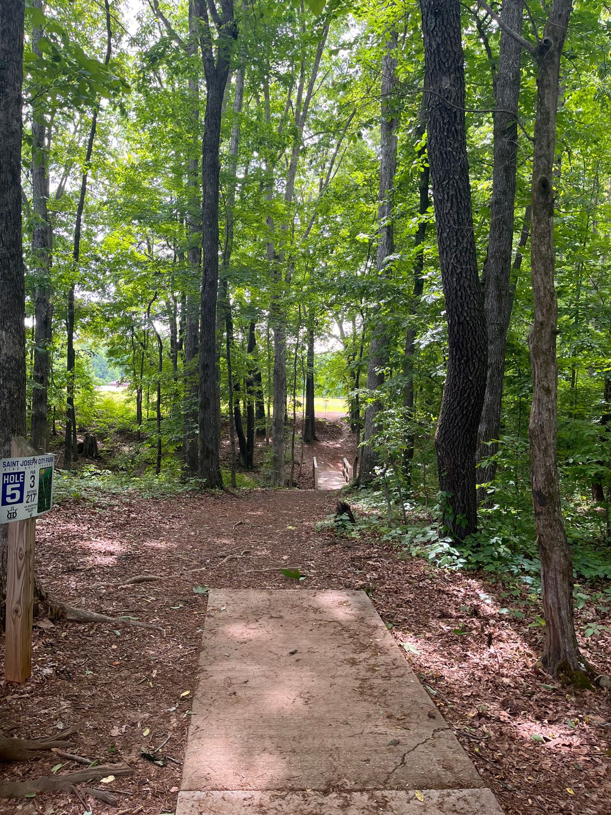 Hole-5 217’