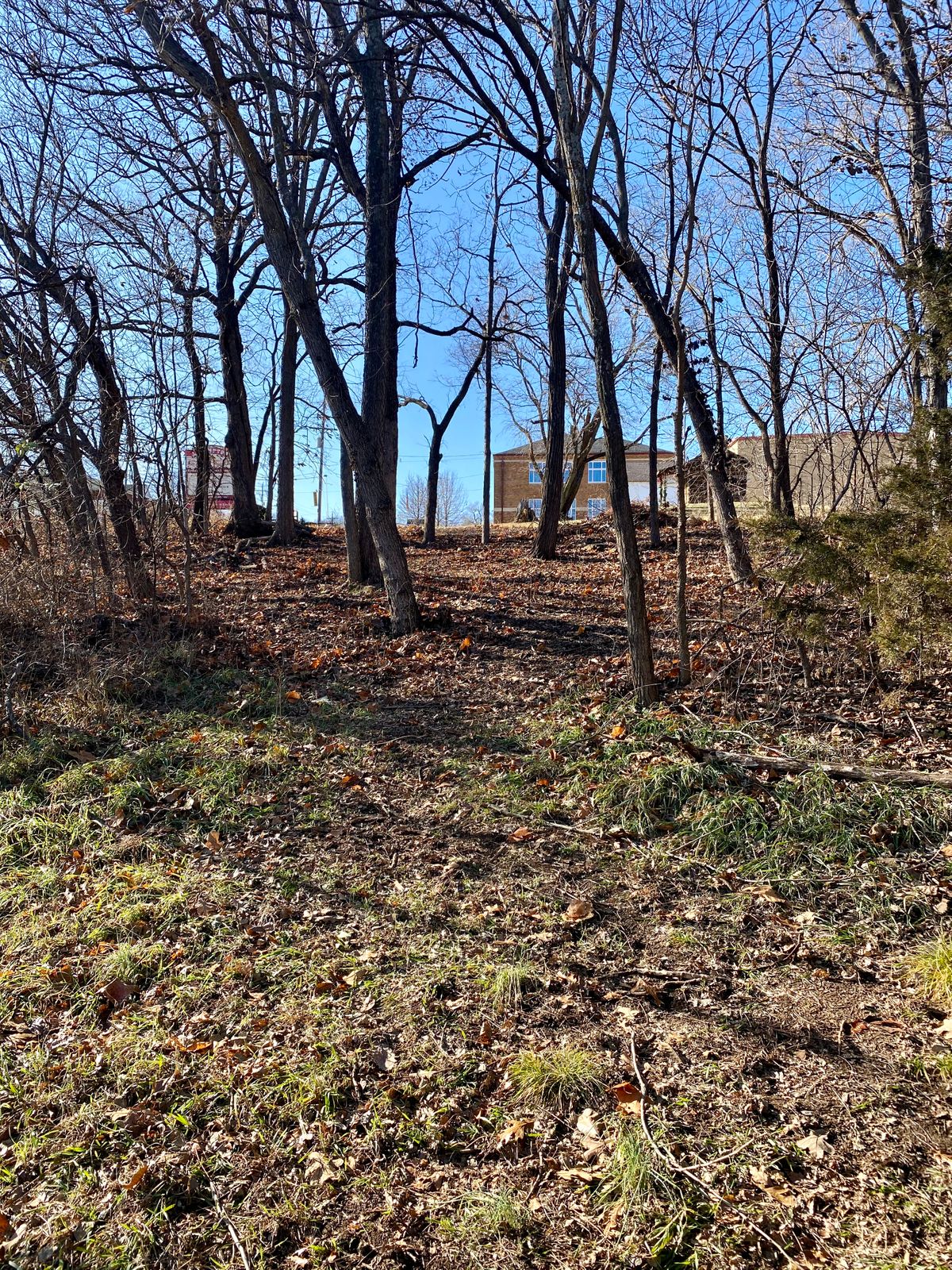 Hole 8 Tee