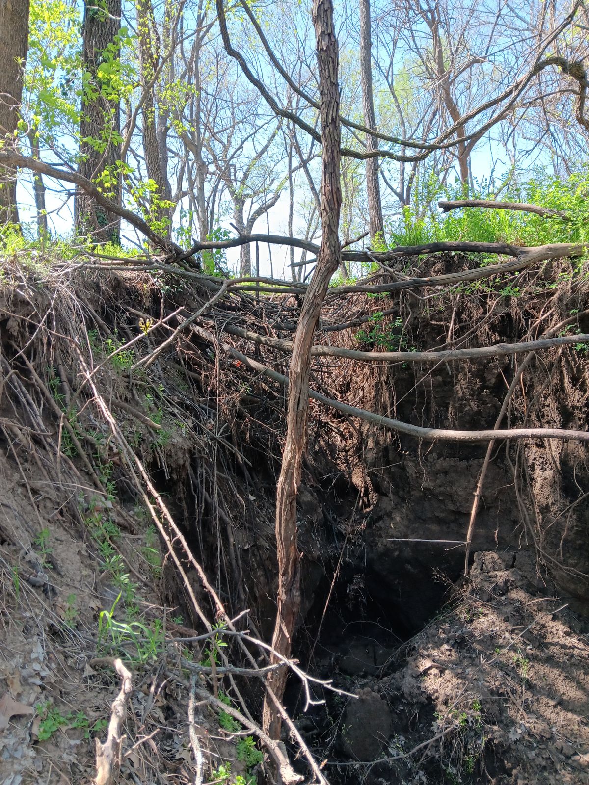 *HAZARD* Be careful, I believe this is Hole 11 left side of fairway 