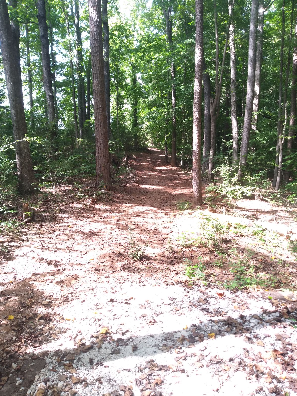 Hole 11 uphill dogleg left