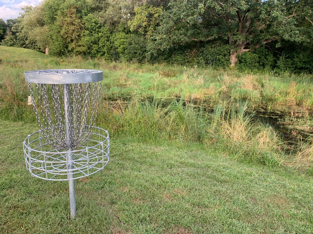 Hole 1 basket with small pond adjacent to the basket.