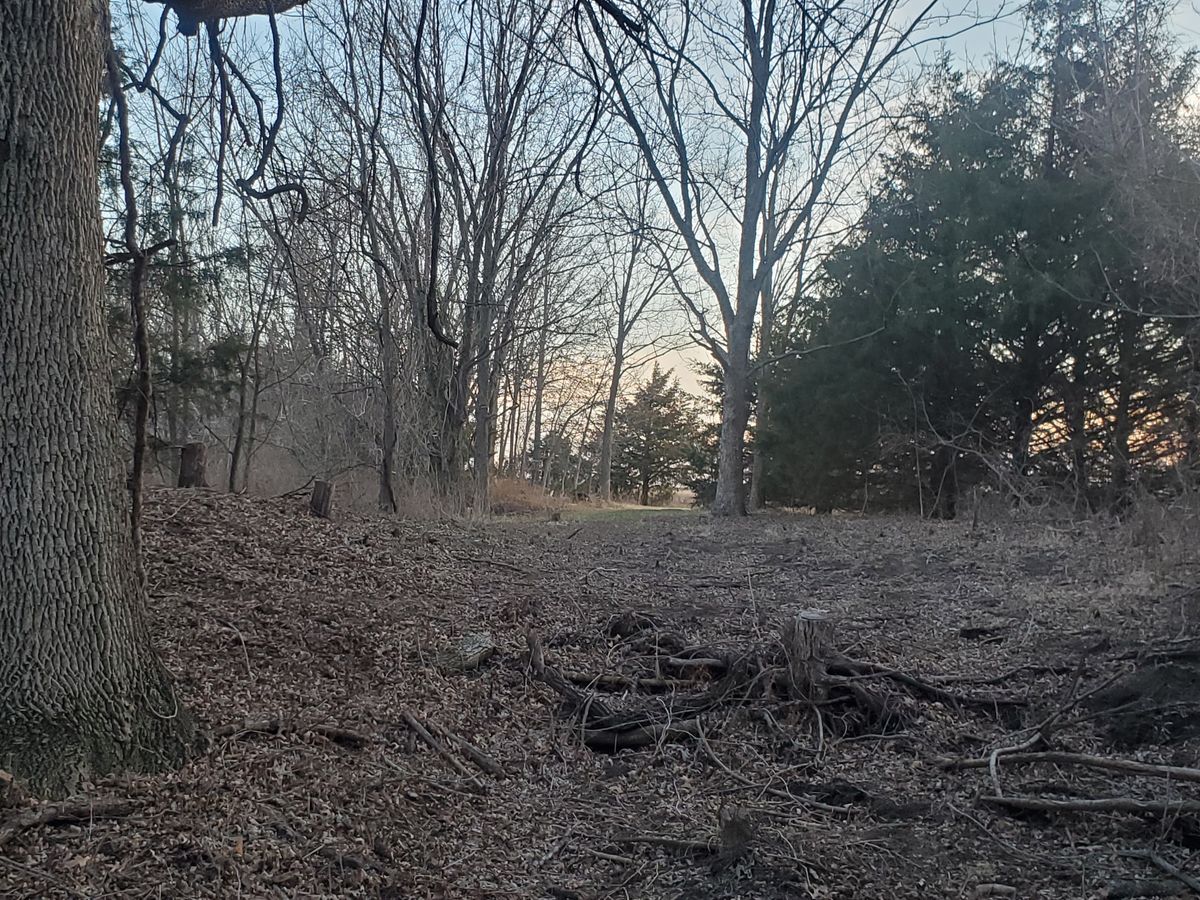 Hole 5 landing zone looking back at tee's