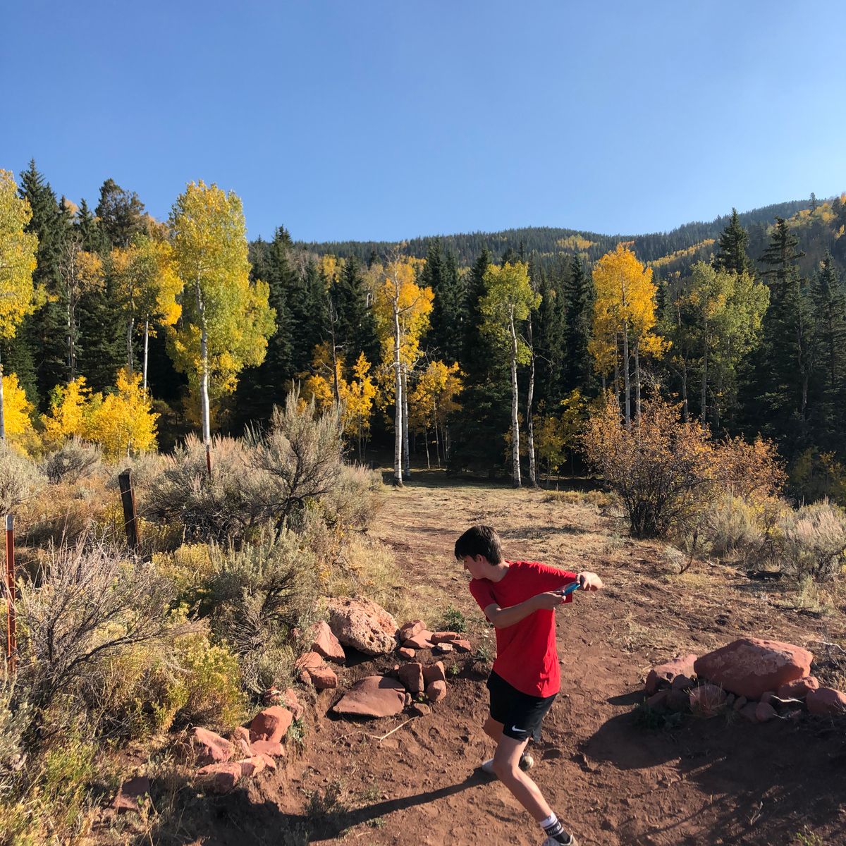 Hole 6 tee