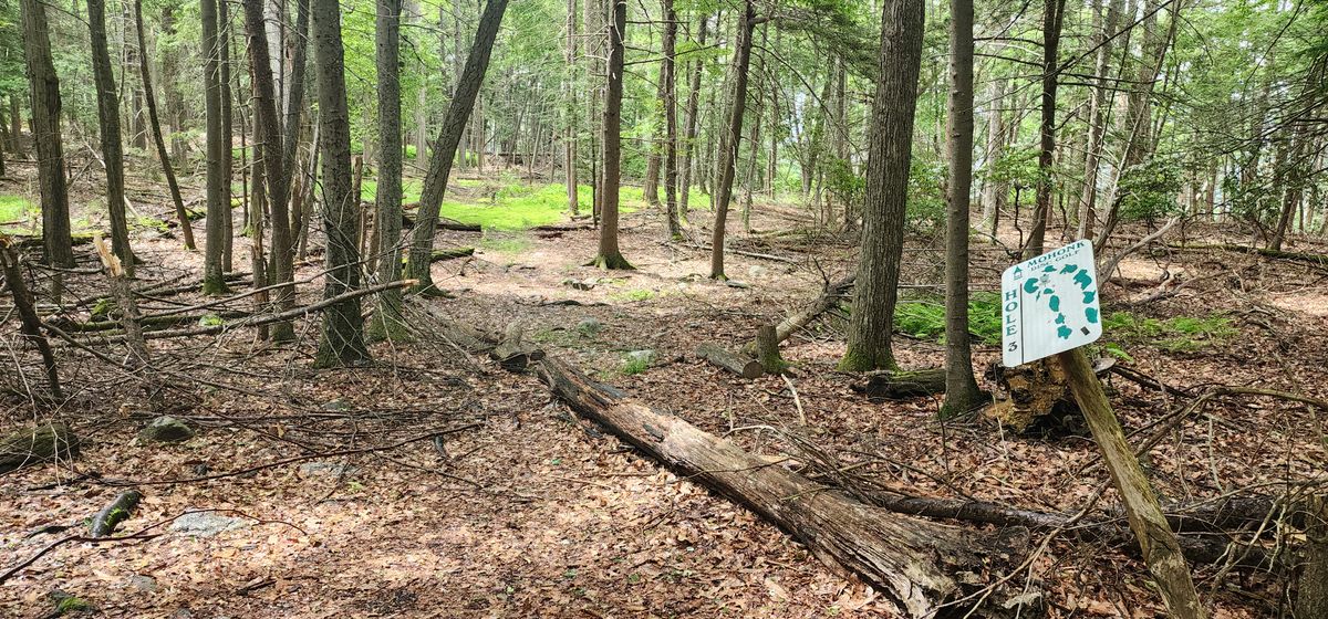 Hole 3
