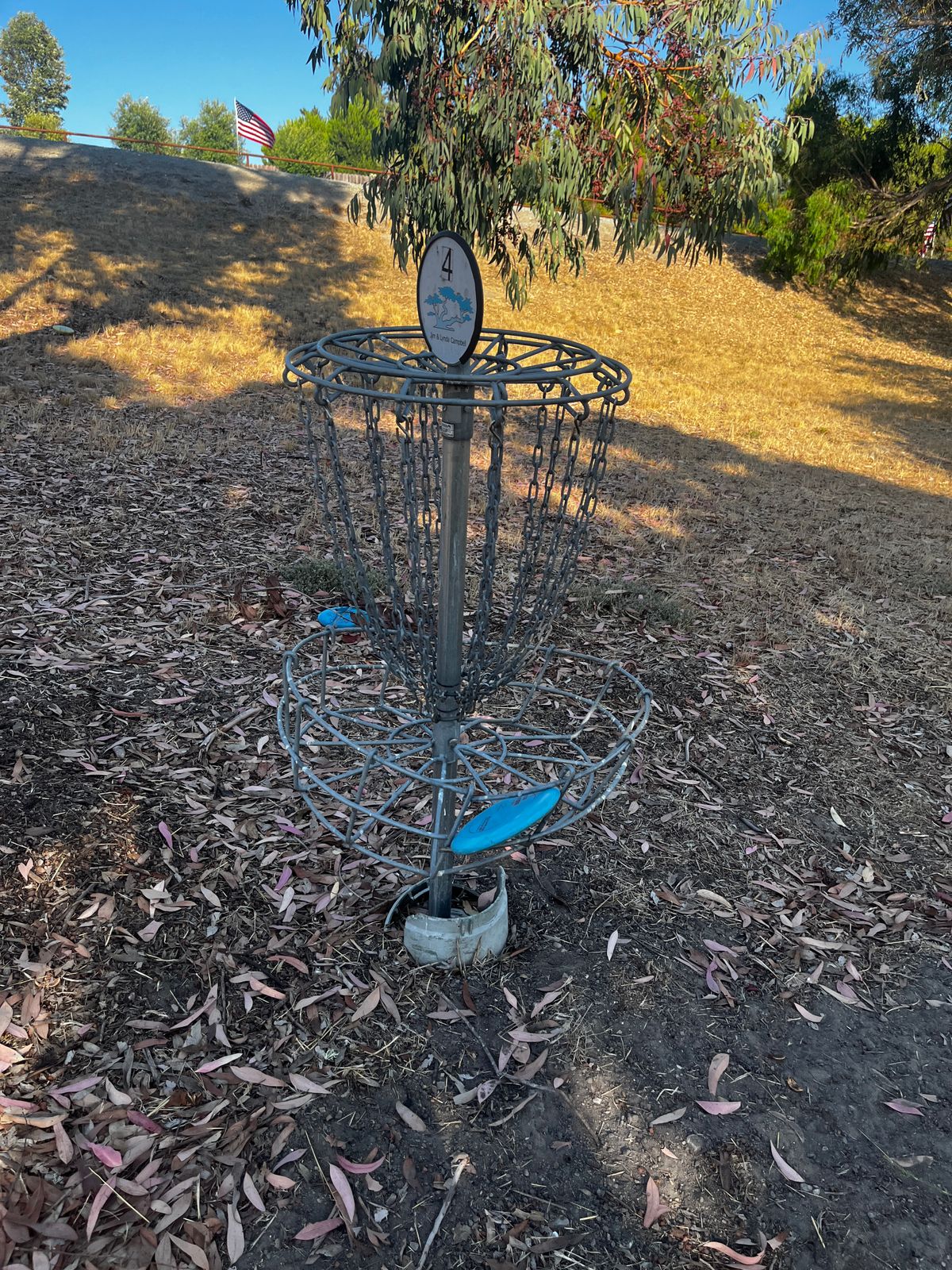 Hole 4 basket. The worst basket.