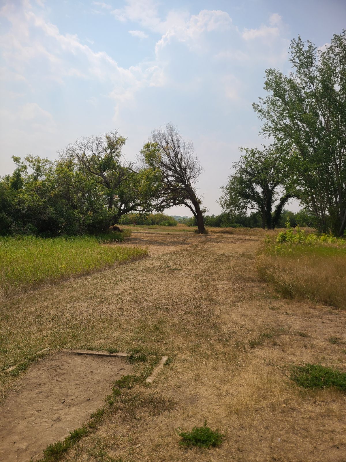 Hole 6 short tees