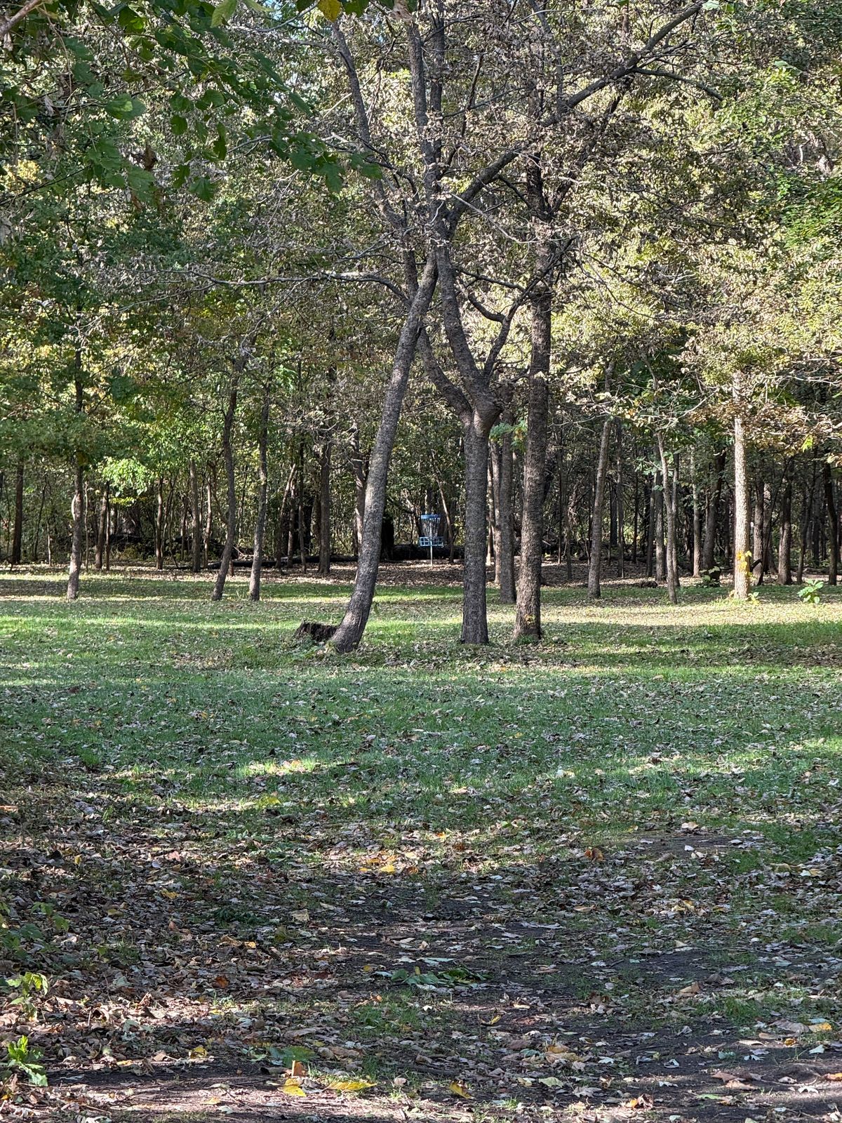 Hole 17 pin from tee 10/23/25